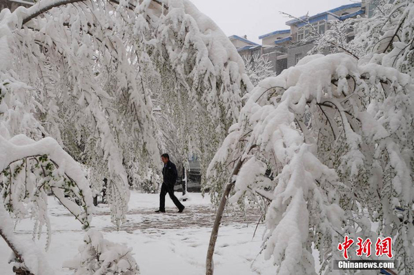 烏魯木齊四月飛雪-瞬間進(jìn)入冬季模式6