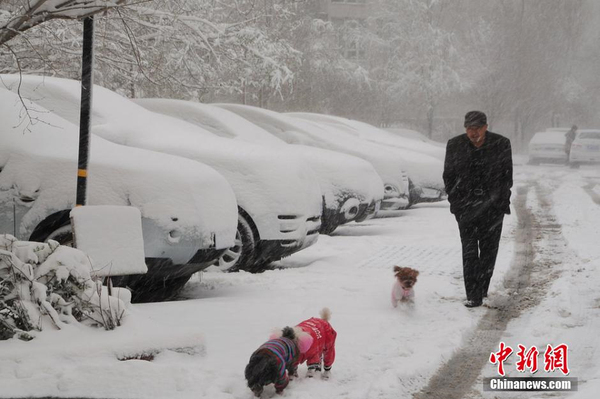 烏魯木齊四月飛雪-瞬間進(jìn)入冬季模式2