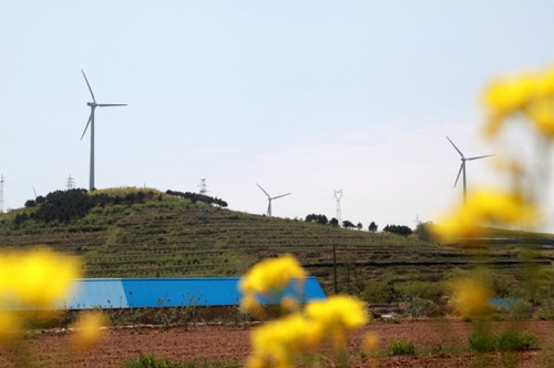 這是5月6日拍攝的山東威海中廣核風(fēng)電場。