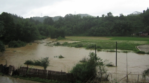 5月18日，在廣西昭平縣馬江鎮(zhèn)新興村，河水上漲淹沒部分農(nóng)田。