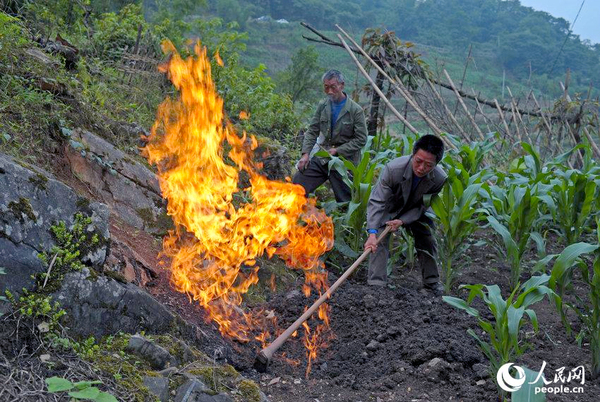 田地里劃根火柴能點(diǎn)燃-重慶巴南發(fā)現(xiàn)神秘氣體3