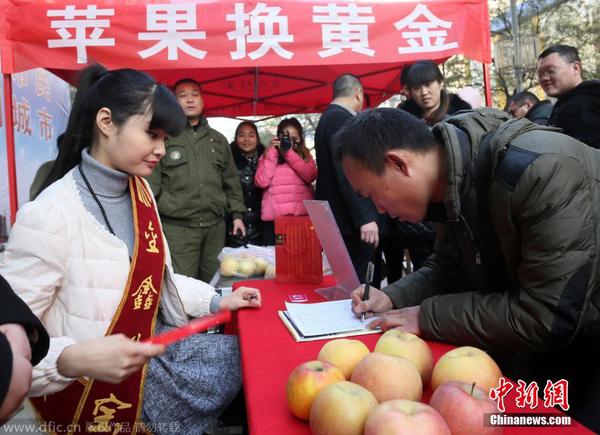 2014年12月23日，河南省鄭州市，在二七路一珠寶廣場，200多位市民排起了數(shù)十米長隊，拿著蘋果等待換黃金。據(jù)介紹，為了迎圣誕節(jié)，凡持一對蘋果到當?shù)匾恢閷毜?，即可免費兌換迷你“招財金”小金條一個。圖為市民在排隊兌換。盧鍵 攝 圖片來源：東方IC 版權作品 請勿轉載