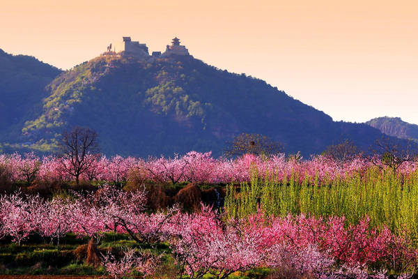 花海丫髻山