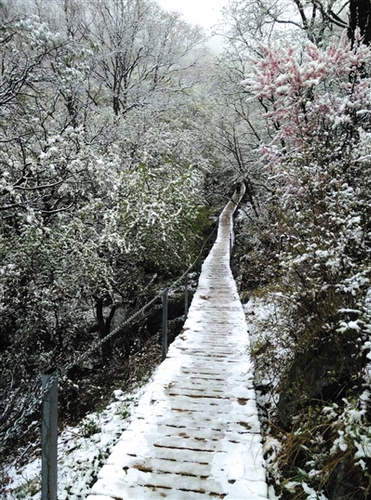 昨日中午，靈山上飄起小雪，至下午3點(diǎn)30分左右雪停。