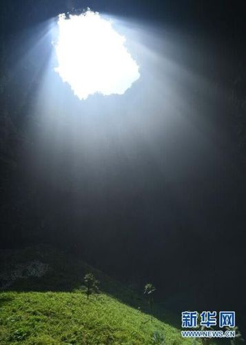 　5月19日，鑼圈巖天坑里的植物沐浴陽(yáng)光