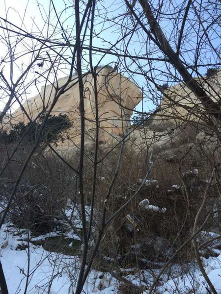 在發(fā)現(xiàn)朱賢峰遺體的位置，朱賢峰表哥王先生用手機朝上拍了一張照片。