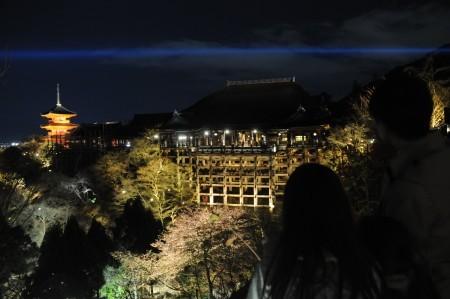 日本京都市的清水寺在春季夜間特別參觀正式開始之前進(jìn)行試亮燈，剛剛開放的櫻花與“清水舞臺(tái)”一同浮現(xiàn)在春天的夜色之中。