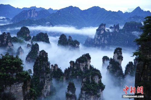 飄渺無形的云海穿梭在連綿峰林間，奇美無比。1