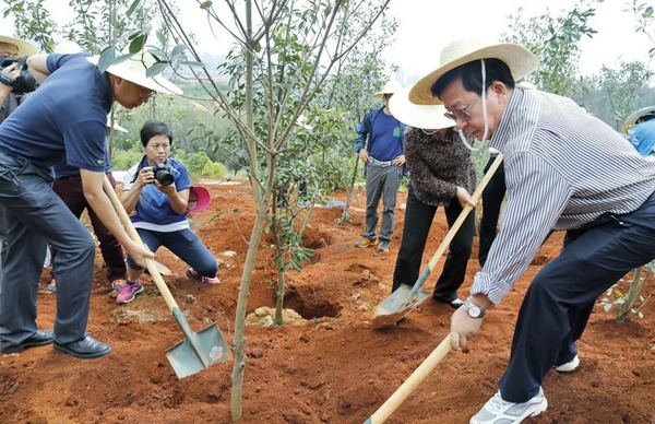 省市兩級政協(xié) 呈貢義務(wù)植樹