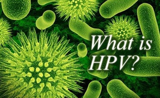 付虹：HPV感染會(huì)導(dǎo)致不孕需斥巨資治療？