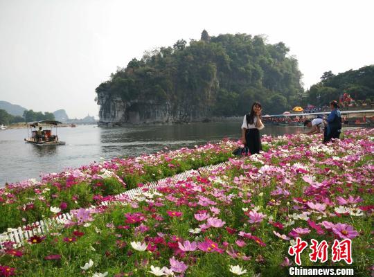 10月6日，游客在桂林城徽象山景區(qū)游玩?！W惠蘭 攝