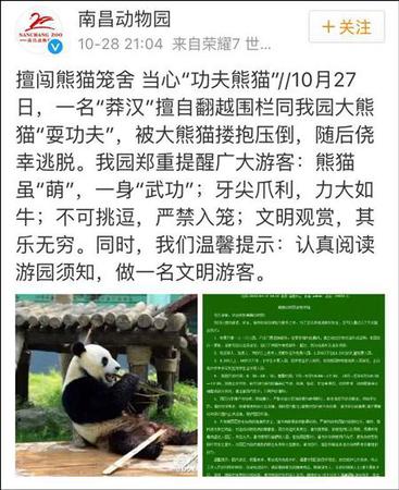 南昌動物園補充道，該男子逃離后未向園方反映情況，動物園檢查之后確認美靈沒有受傷或受到驚嚇。