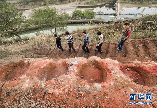 文物工作者走過(guò)陡嶺下遺址上一處保存較為完整的焙燒臺(tái)（11月17日攝）。