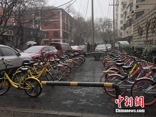 風(fēng)雪中的共享單車。<a target='_blank' href='http://www.chinanews.com/' >中新網(wǎng)</a> 吳濤 攝