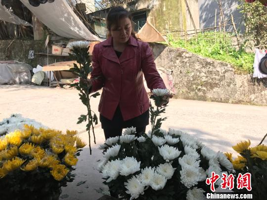 圖為市民挑選鮮花為祭掃做準備?！＄婌?攝