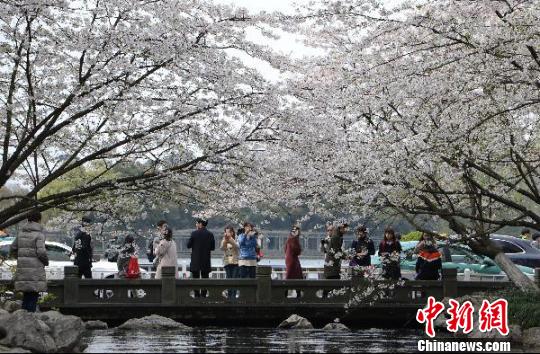 圖為杭州西湖的太子灣公園?！⊥鮿?攝