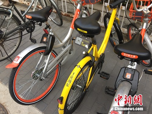 資料圖。某輛共享單車號碼被損。<a target='_blank' href='http://www.chinanews.com/' >中新網</a> 吳濤 攝