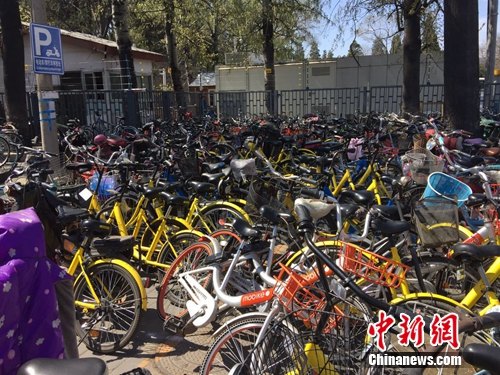 資料圖：頤和園附近的一處停車點堆滿共享單車。<a target='_blank' href='http://www.chinanews.com/' >中新網</a> 吳濤 攝