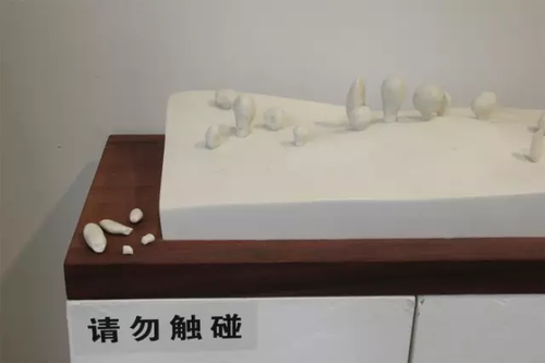 畢業(yè)展作品被盜皮皮蝦也遭殃 學(xué)生貼26個(gè)勿觸碰