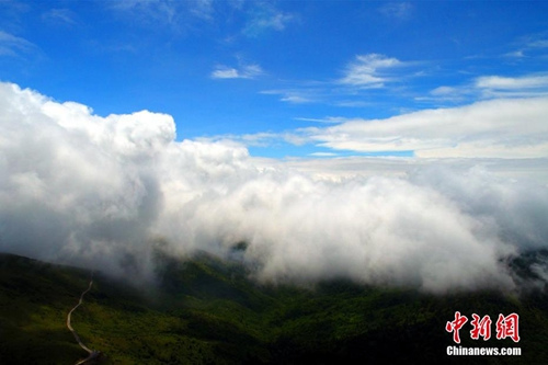 資料圖：神農(nóng)架現(xiàn)云海奇觀。 周星亮 攝