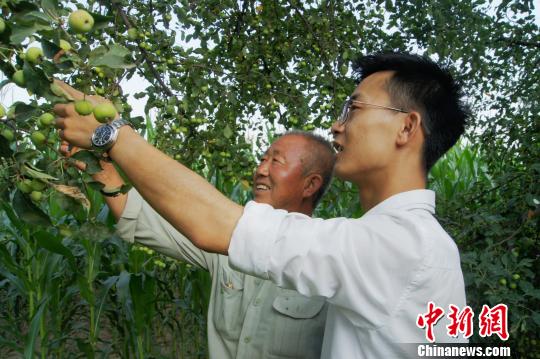 到2016年10月底，梁磊公司已累計向貧困戶果農(nóng)收購海紅果2700噸?！⊥醣筇?攝