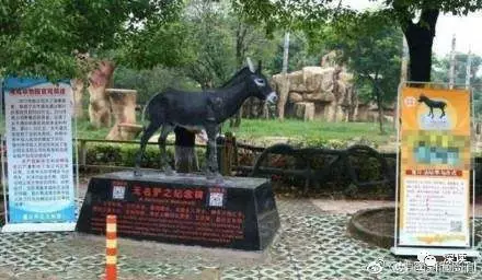 曾活驢喂虎的動物園涉9500萬經(jīng)濟糾紛 開庭無果