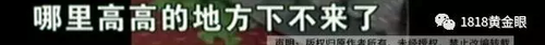 被罰站窗臺(tái)、關(guān)小黑屋？杭州一早教園或體罰孩子