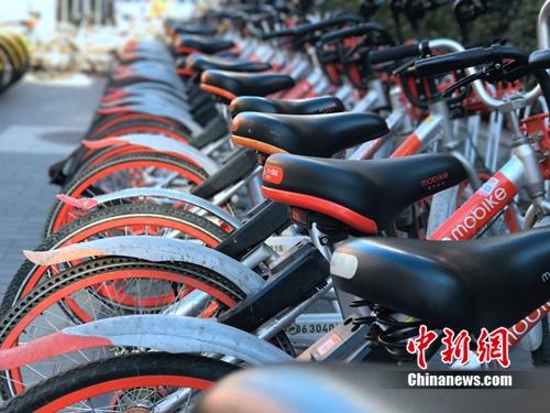 資料圖：清一色的摩拜單車。<a target='_blank' href='http://www.chinanews.com/' >中新網(wǎng)</a> 吳濤 攝