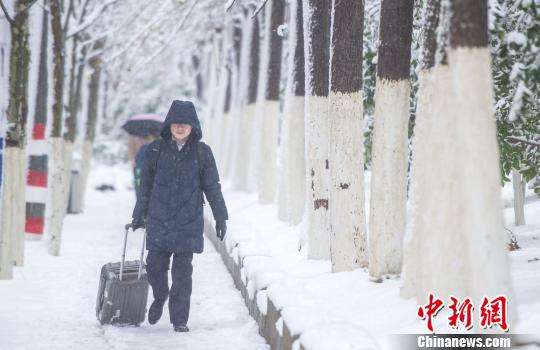 暴雪中的行人?！垕I子 攝