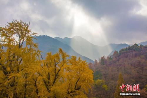 點擊進入下一頁