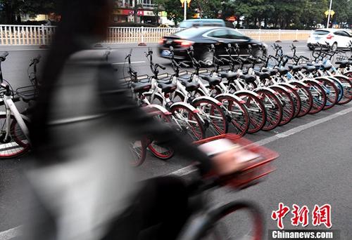 資料圖：市民騎著共享單車出行。<a target='_blank' href='http://www.chinanews.com/'>中新社</a>記者 張斌 攝