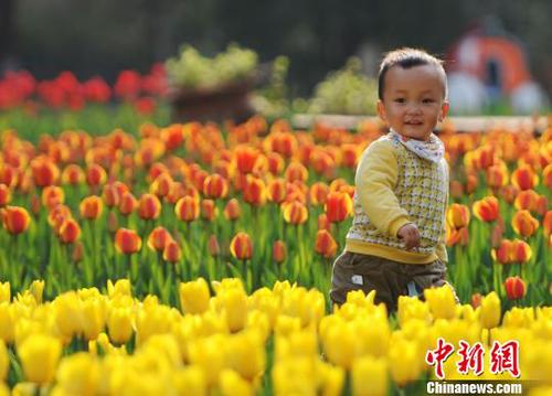 3月22日，小朋友在江西九江市濂溪區(qū)的九江新湖郁金香花博會現(xiàn)場玩耍。　胡國林　攝