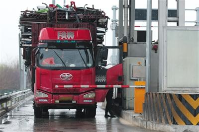 4月13日，京津高速臺(tái)湖收費(fèi)站，一名大貨車司機(jī)從車上下來取高速卡。本版攝影/新京報(bào)記者 朱駿