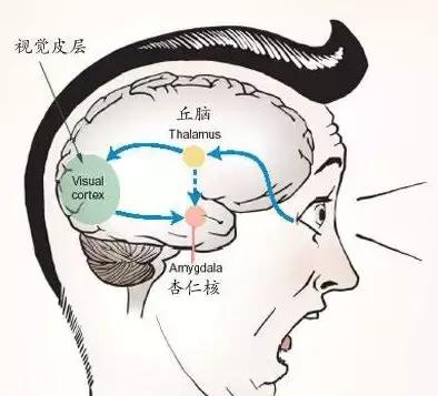 為何有人聽到指甲劃黑板的聲音就狂躁？