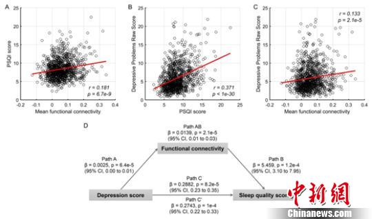 國(guó)際合作團(tuán)隊(duì)揭示抑郁癥與睡眠問(wèn)題之間的腦調(diào)控機(jī)制