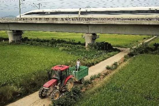 媒體：農(nóng)村土地市場再放開些 也亂不起來