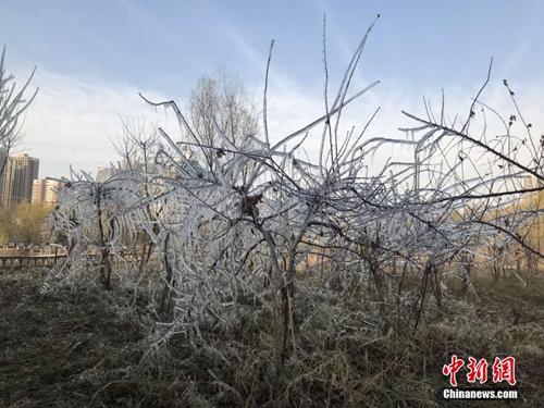 點擊進(jìn)入下一頁