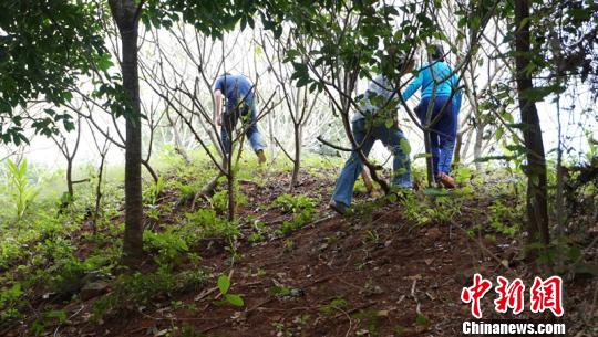 舊州古城墻遺址?！》钊?攝