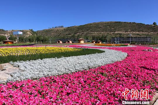 圖為西寧市大通縣花海。(資料圖) 鐘欣 攝