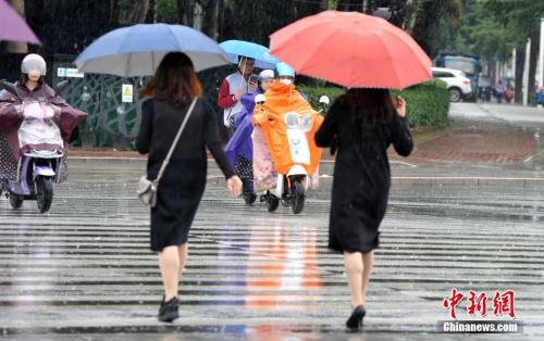 資料圖：2018年11月，福州市民在雨中出行。張斌 攝