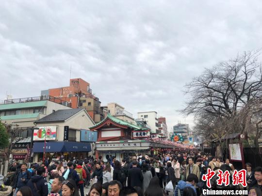 春季出境游升溫原產(chǎn)地“打卡”、“種太陽(yáng)”之旅等受追捧