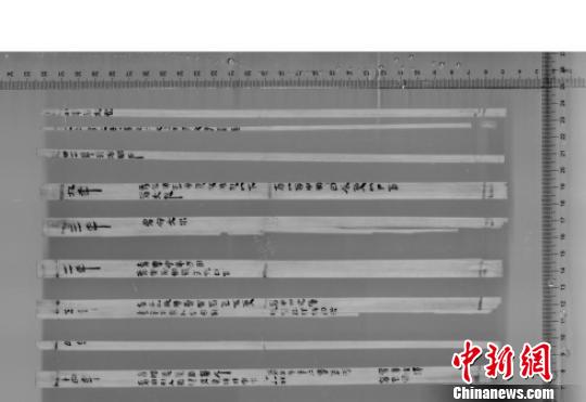 “考古中國”公布湖北荊州龍會(huì)河北岸墓地等4項(xiàng)重要考古成果