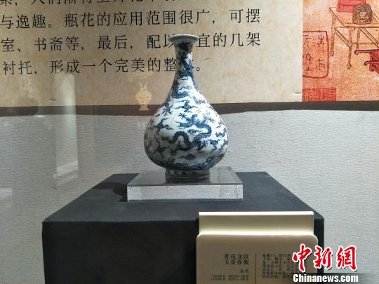 “景德鎮(zhèn)宋元明清花器瓷展”在廣東東莞市袁崇煥紀(jì)念園開展。圖為展出的永樂年間青花龍紋玉壺春瓶 李映民 攝