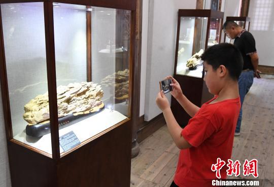 “青藍(lán)門徑·福建青年藝術(shù)家雕刻作品展”正在福州福建省海峽民間藝術(shù)館展出?！∮浾邉⒖筛?攝