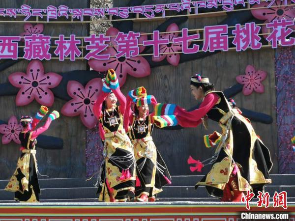 圖為林芝桃花節(jié)開幕場景，2019年3月29日，林芝第十七屆桃花旅游文化節(jié)在巴宜區(qū)開幕(資料圖)。　張偉 攝